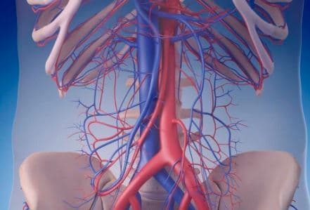 Cardio Thoracic Surgery
